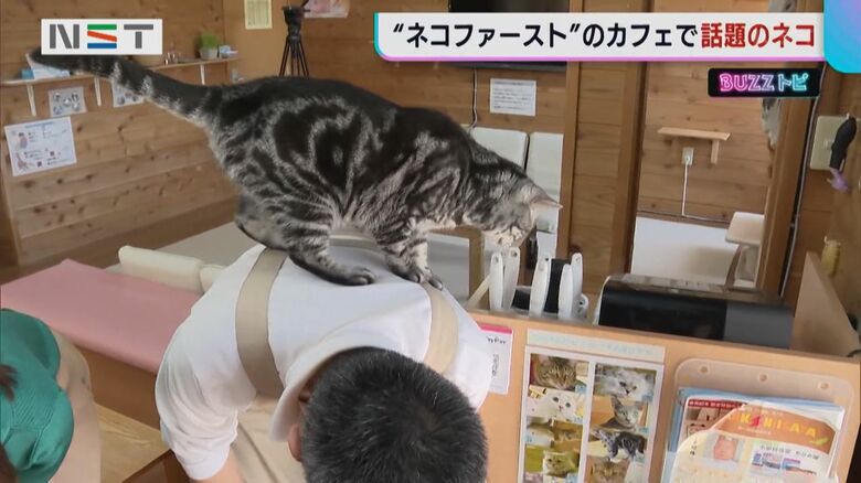 おやつに向かって歩くメイちゃん