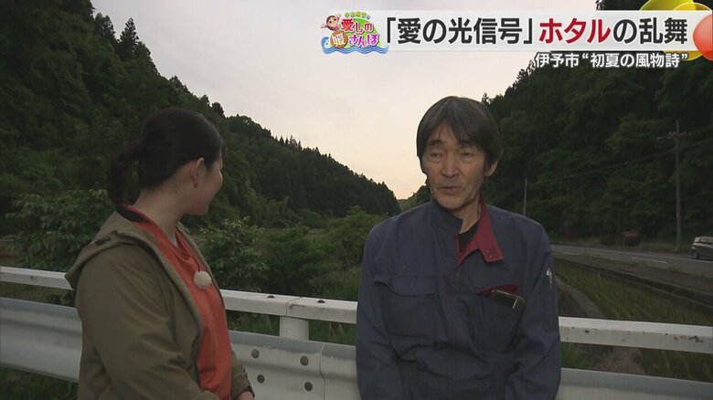 伊予市の初夏を豊かなものに