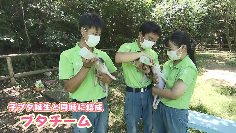 斎藤瞬馬飼育員（左）山本蓮飼育員（中央）兒玉愛飼育員（右）