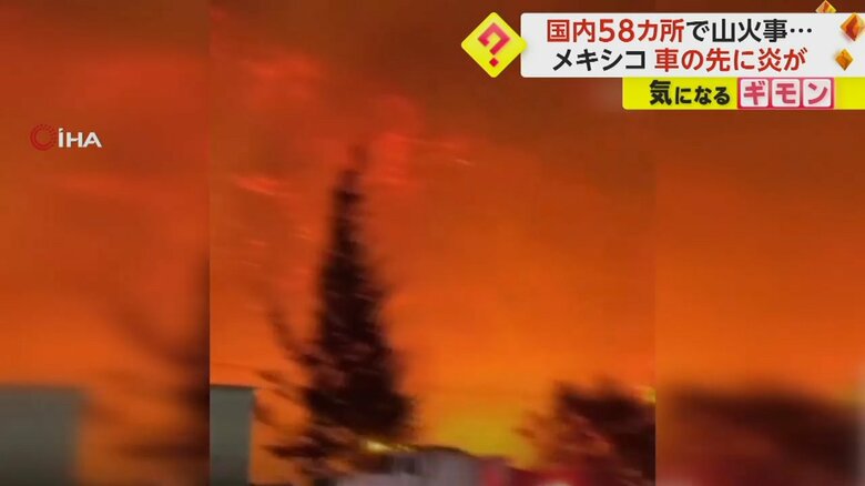 東京ドーム300個分以上焼けたメキシコの山火事