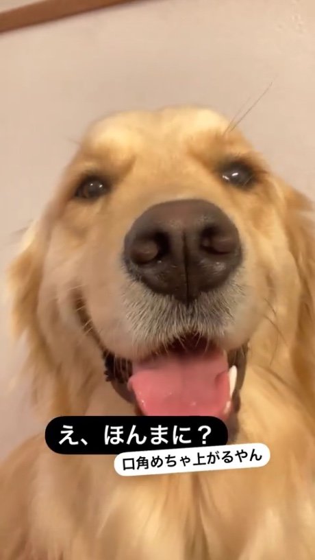 提供：エマさん