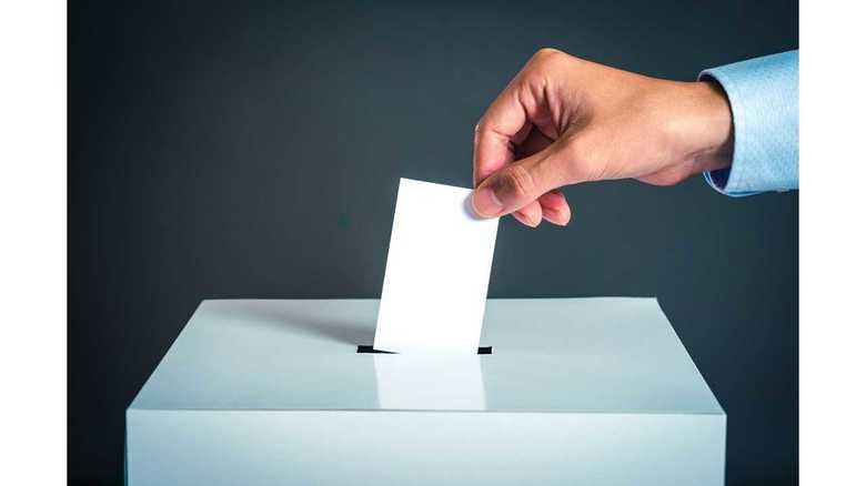 「選挙公報」の活用を! きょう投開票の参院選への向き合いと楽しみ方