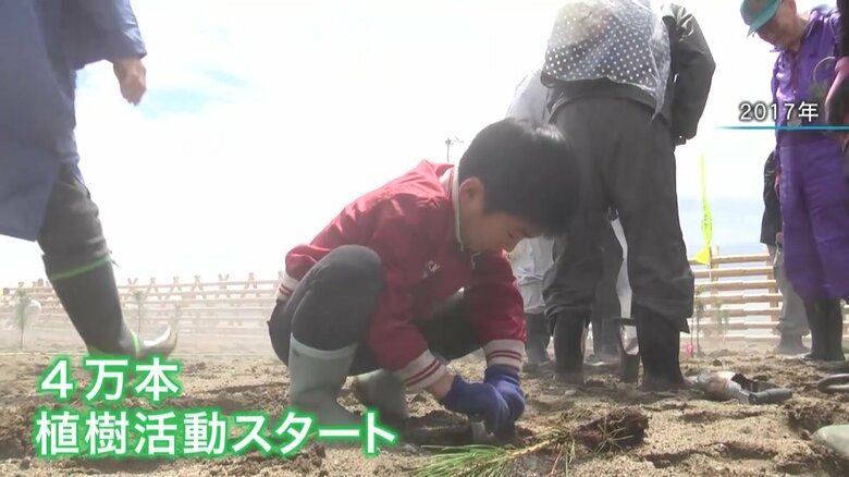 植樹を手伝う小学生（2017年当時）