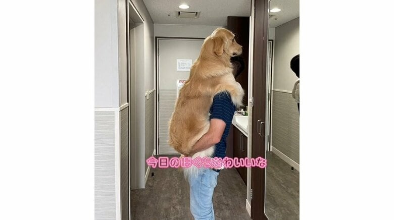 旦那さんの上半身と同じくらいの大きさのLexくん