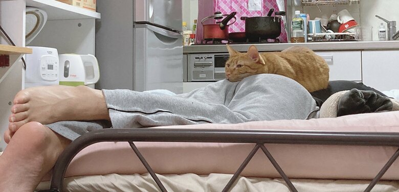 提供：たぬき&とらさん