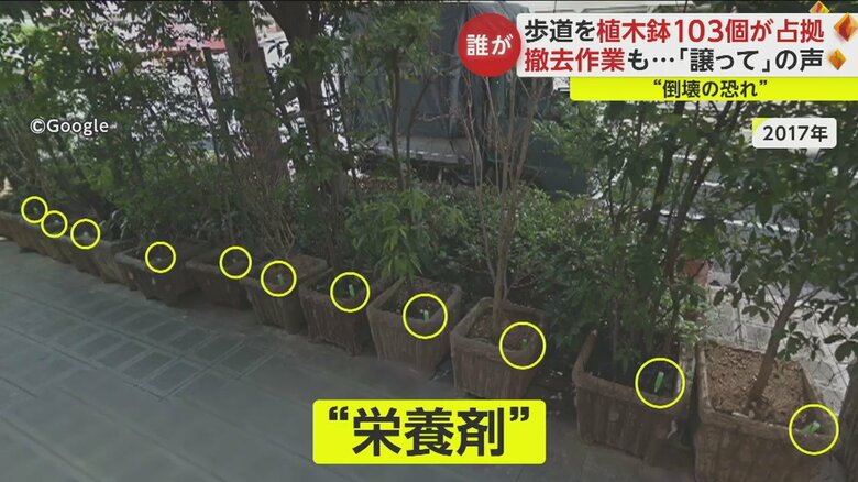 グーグルマップで見てみると、植木鉢ごとに栄養剤が