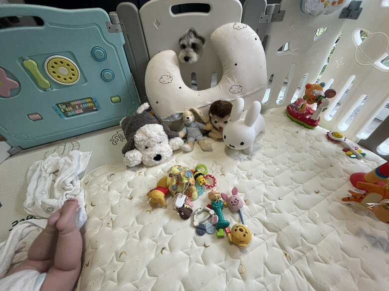 娘さんに視線を向けている