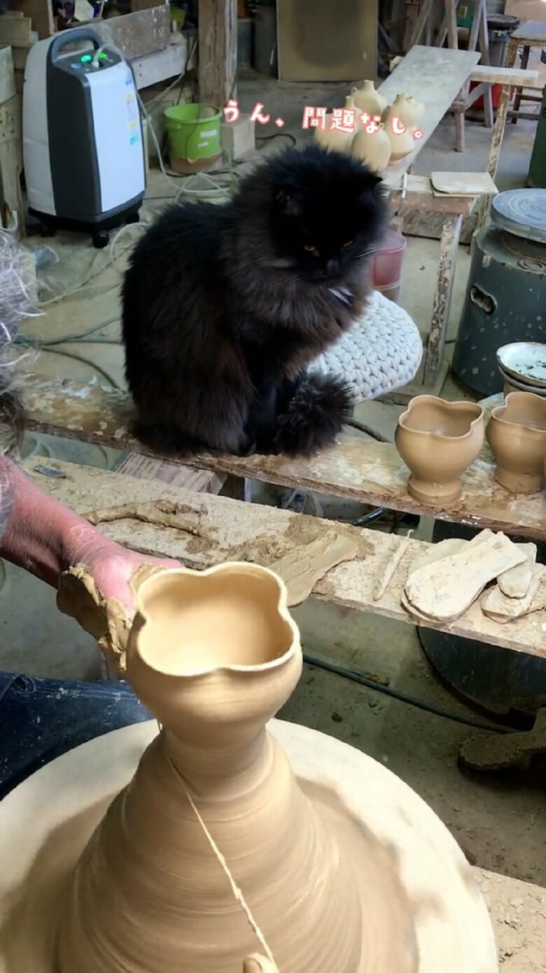 「うん、問題なし」