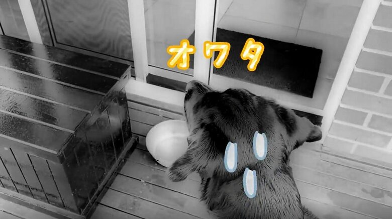 置いてけぼりのえんぞうくん