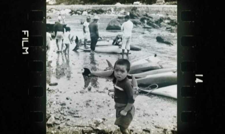 岡本さんが撮影した沖縄の写真