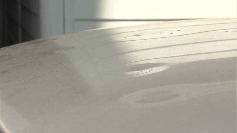 ひょうの被害の様子