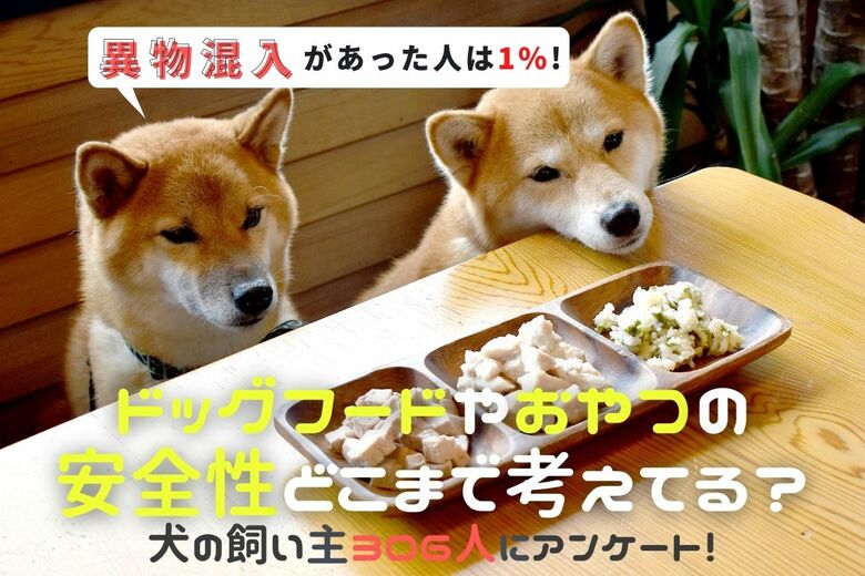 ドッグフードや犬用おやつに異物混入があった飼い主は◯%!リコール情報をチェックしない飼い主が約9割。実際、販売先に連絡した人の声も紹介【飼い主306人アンケート】