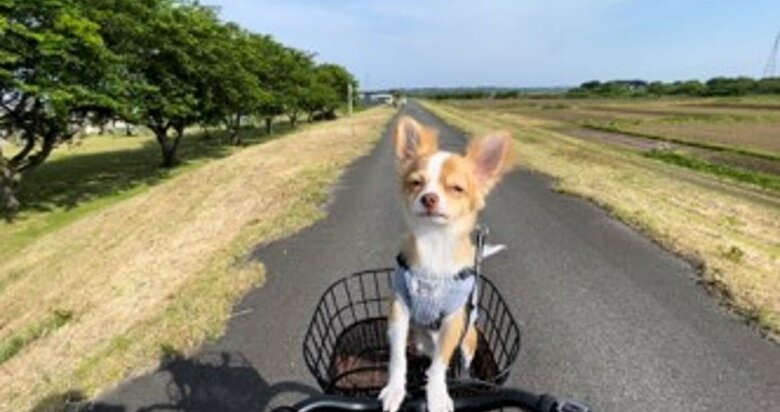 提供：ふくのすけさん