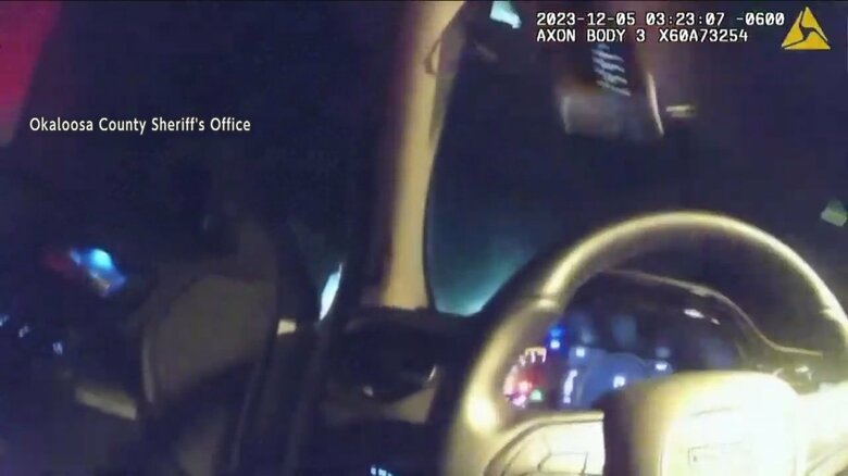 子グマを発見した際の車内からの映像