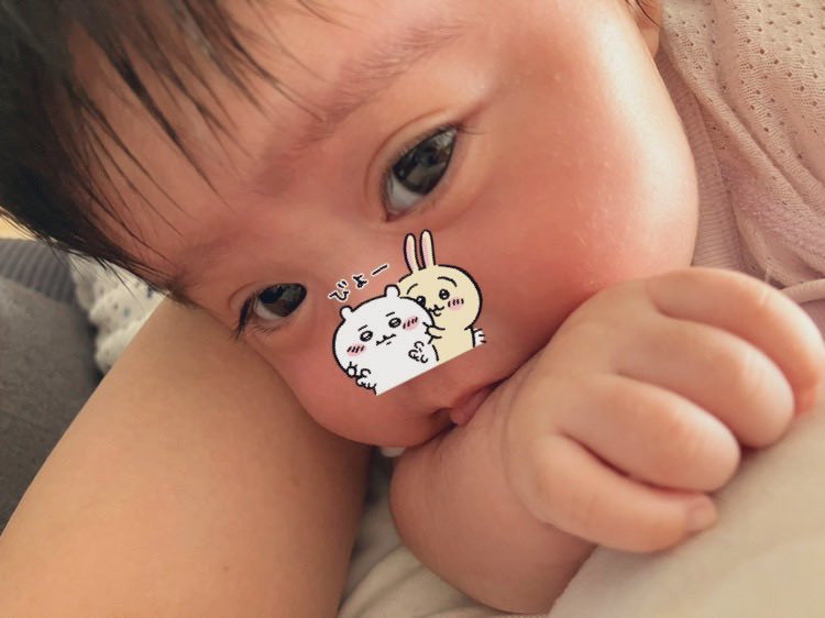 提供：ことねさん