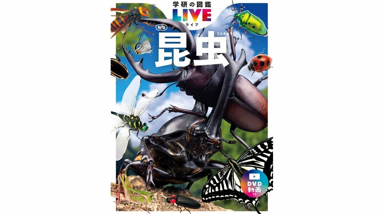 ガッケンホソカワゲラが掲載される「学研の図鑑LIVE 昆虫 新版 DVDつき」