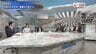 『激化!産油国vs消費国 原油高が日本経済直撃 国家備蓄放出の波紋は』【後編】