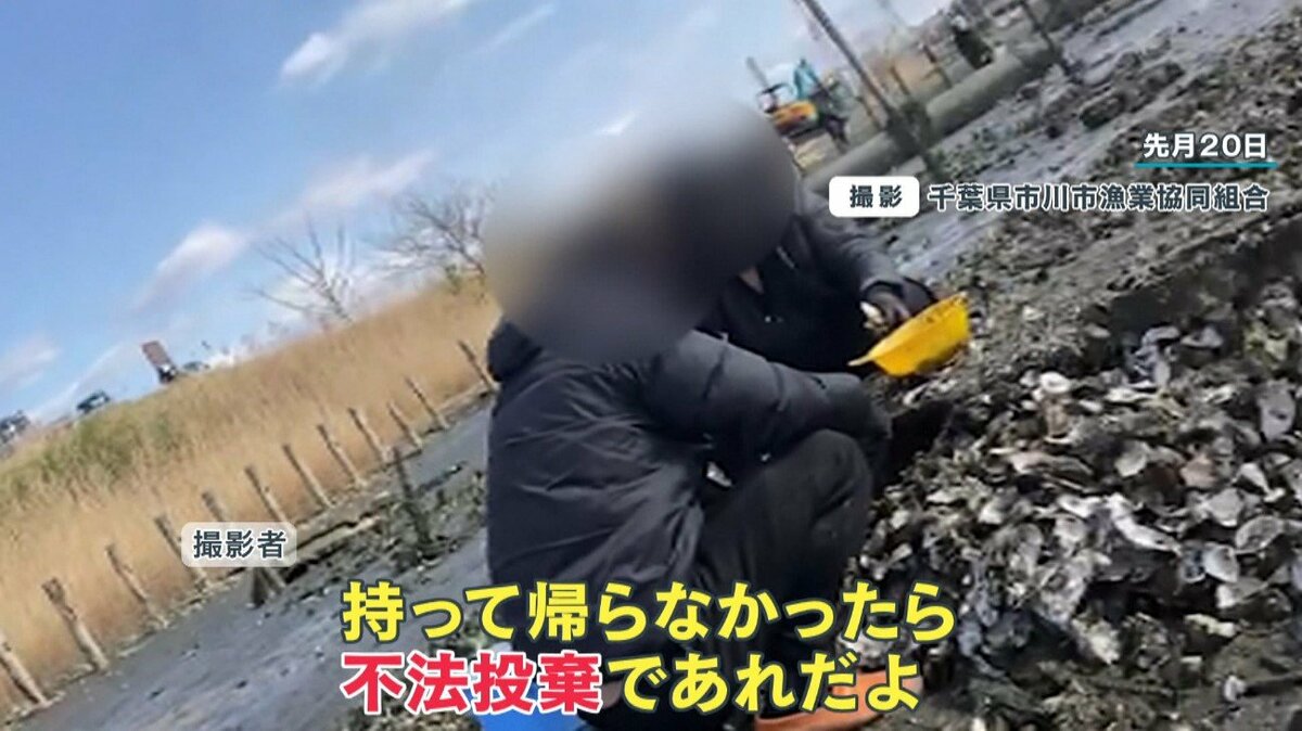 江戸川 牡蠣