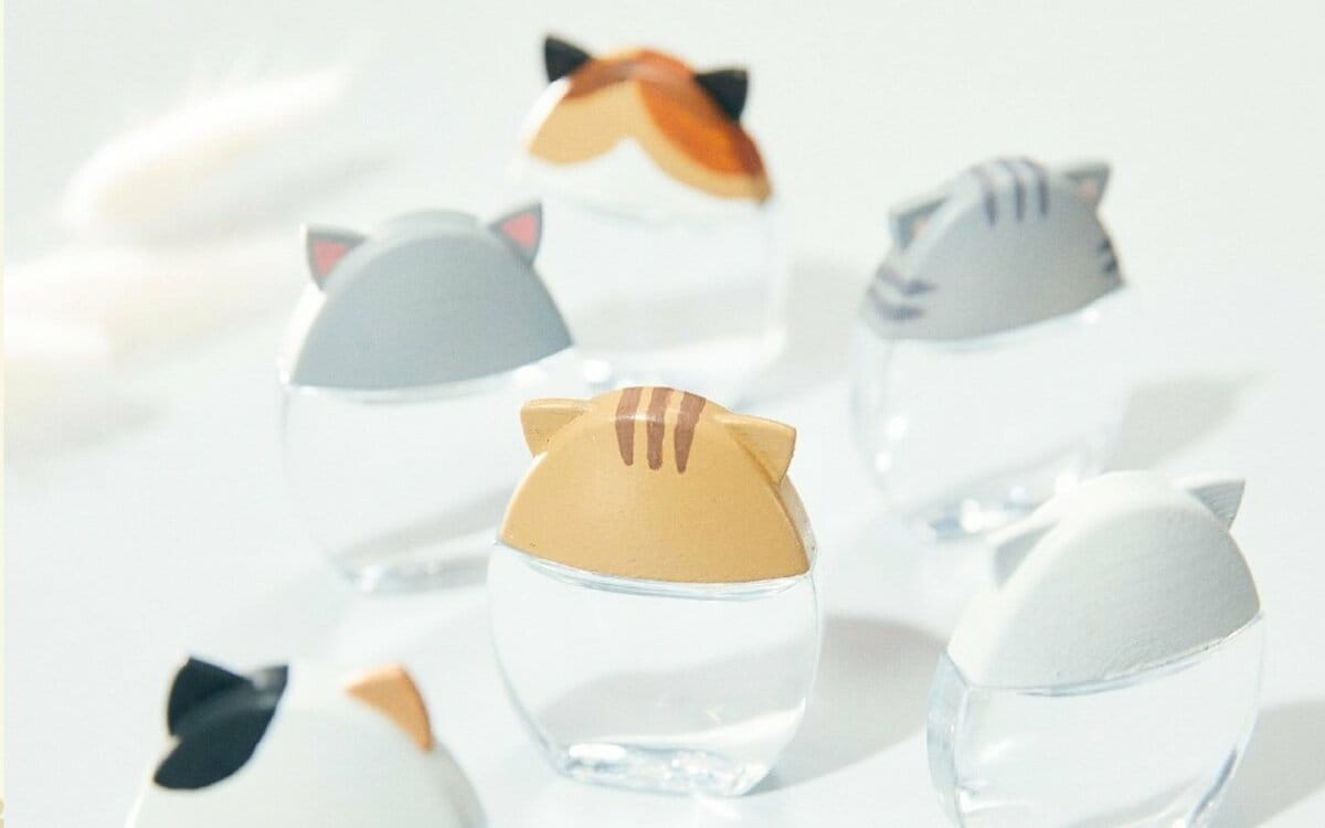 うちの猫が 目薬 のキャップに かわいい 猫耳目薬 プロジェクトに開始前から続々応募