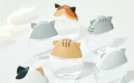 うちの猫が「目薬」のキャップに!? かわいい“猫耳目薬”プロジェクトに開始前から続々応募