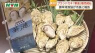 「今がおいしい時期」小長井ブランドかき「華漣」の販売開始　養殖量を減らし品質を追求
