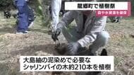 奄美大島で植樹祭　鹿児島・龍郷町