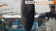 約300kgの大物も！冬の佐渡で“クロマグロ”大漁 寒ブリ不漁の中…100本以上の水揚げに漁業関係者は喜び 新潟