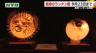 ペンギンやクマノミのオブジェにフグの皮で作られた「ふぐちょうちん」…水族館でも“ランタンフェスタ”