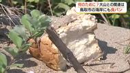 砂浜にカチカチのパン　神話の舞台・鳥取市の「白兎海岸」でも「食パン」大山と同時期に投棄か