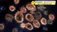 小学校で新たなクラスター 14人感染で延べ862人