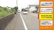 静岡・清水区の死亡事故 75歳男を“ひき逃げ”容疑でも送検~逃走は否認