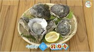 【瀬戸内旬紀行】特別編　島根・隠岐の島直送！日本海の恵み蓄えた旬の「岩ガキ」の魅力【岡山・香川発】