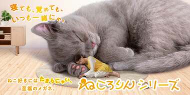 創業80年余の愛眼株式会社の人気シリーズ。「12匹のねこちゃんがメガネに?」 ねこ好きにはたまらにゃい至福のメガネ「ねころりんシリーズ」の誕生秘話