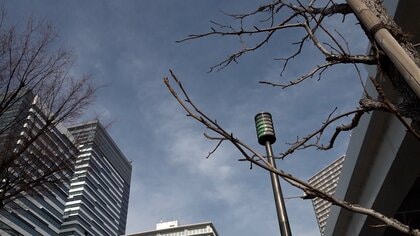 都心は17日連続で「乾燥注意報」“カラカラ”続きの影響か？各地で火災相次ぐ