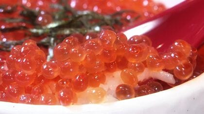 ＜イクラ価格高騰のワケ＞サケ水揚げが20年前の5分の1に激減―観光地・小樽でイクラ丼は“1000円値上がり” イクラはもう手が届かない高級品なのか？ 北海道