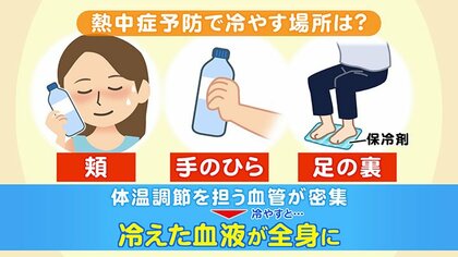 【北海道が“南の島”の蒸し暑さに】元台風9号が熱帯の湿気を運ぶ…日本列島全体が高温多湿に＿15日夜は「今年一番寝苦しい夜」になる見込み…暑さに弱い道民…熱中症予防のポイントは？