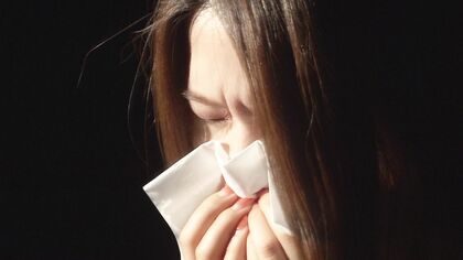 春だけじゃない!「秋の花粉症」9月がピーク!原因は“ヨモギの花粉” 公園など身近な所に自生 軽い症状で気が付かないことも つらい場合は早めの受診が大事 北海道札幌市