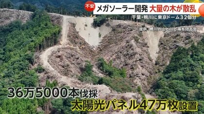 「土砂崩れで流れ出たら…」東京ドーム32個分のメガソーラー開発計画　大量の木散乱に住民不安　行政指導は58回　千葉・鴨川市