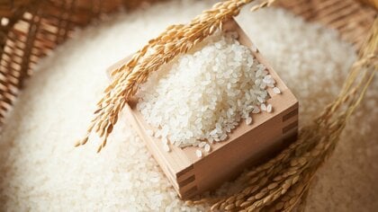 「現場をわかっている」鈴木農相のコメ政策の狙いと生産者や価格への影響は？前農相との違いやお米券の効果も解説