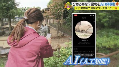 数々の難問に正解できるのか…動物を判別できるスマホ・アプリ　動物園で“テスト”してみた【愛媛発】 