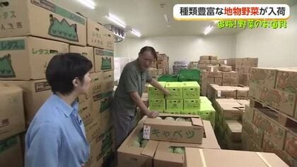 「野菜のオールスター勢揃い」富山の市場に地物野菜が種類豊富　梅は台風直撃で異変、注目集まる福井産