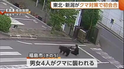 “クマ”の個体数管理へ　昨年度人身被害のうち75％を占めた東北・新潟で初会合「積極的に個体数減らしていく」