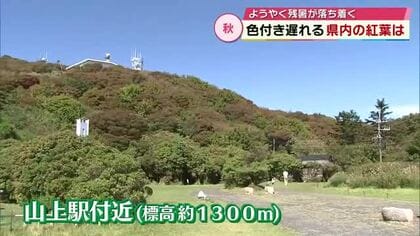 “紅葉”に遅れ…「例年だともう少し色鮮やか」長引いた残暑の影響か　今後は平年並みの気温続く　大分