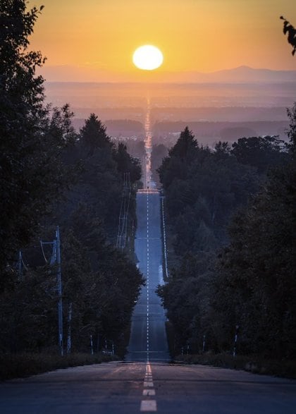 北海道「天に続く道」の先にある夕日が幻想的…約6時間待った絶景写真の