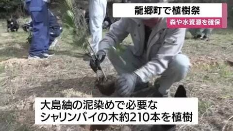 奄美大島で植樹祭　鹿児島・龍郷町