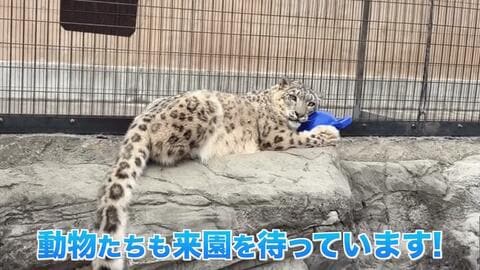旭山動物園“開園延期”様々な業種に影響「GW後も尾を引いてしまうと思うので不安」大型連休直撃で地域経済に深刻な影響…再開への期待と不安〈北海道旭川市〉