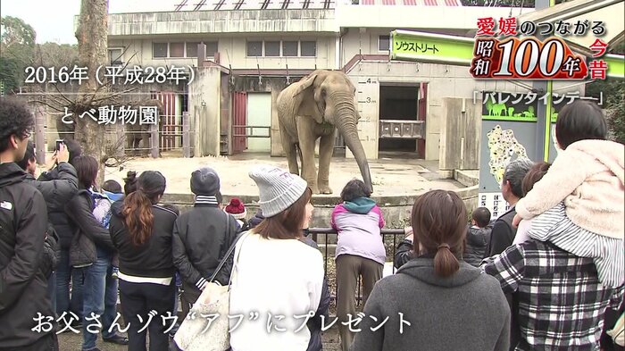 果物や野菜のケーキが贈られた
