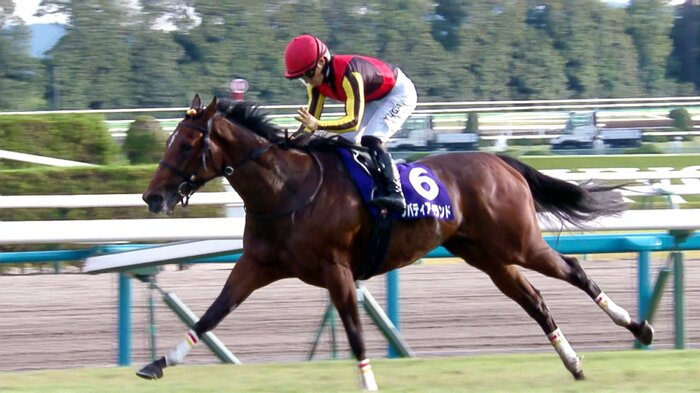 牝馬3冠を達成したリバティアイランド