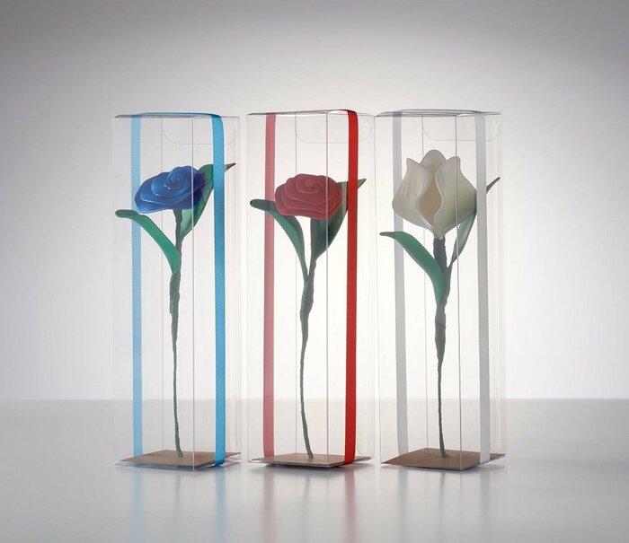 「祝福の花」
