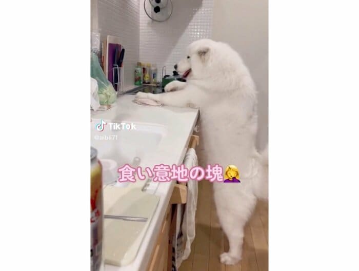 提供:ibukimama38さん